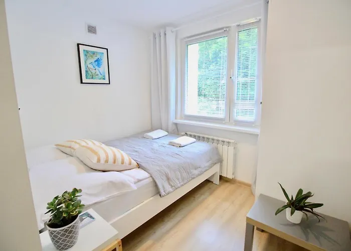 Bazatatry Parkowy Zakopane