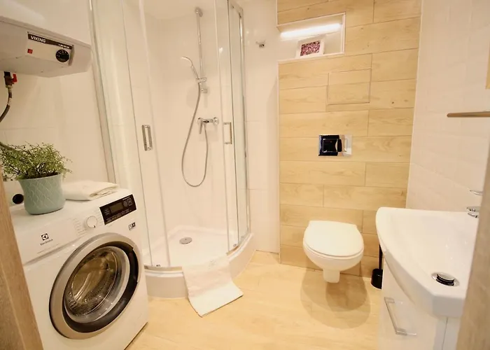 Bazatatry Parkowy Zakopane